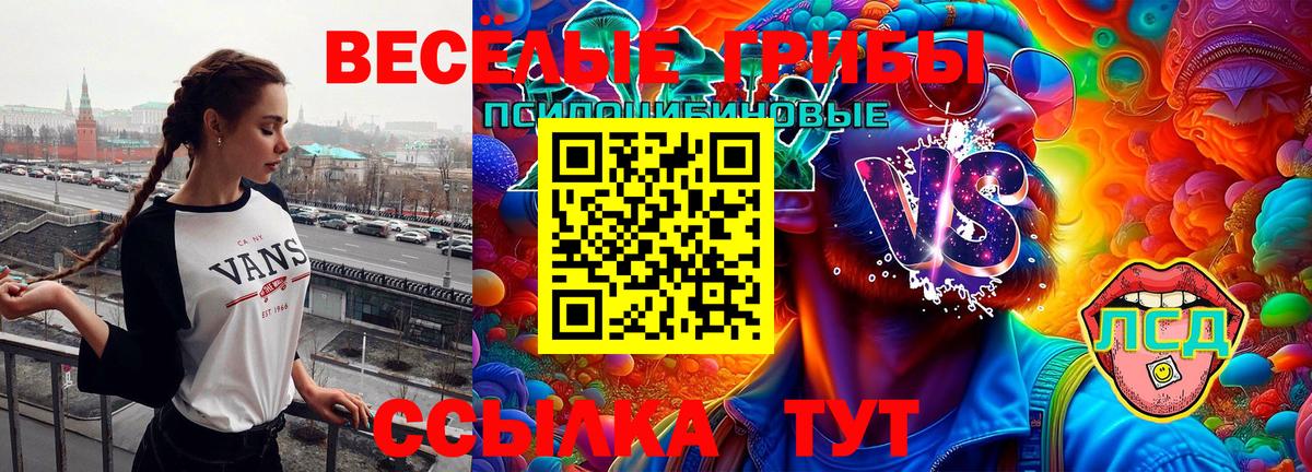 Галлюциногенные грибы прущие грибы  Вход с VPN  Галлюциногенные грибы Psilocybine cubensis  Златоуст 
